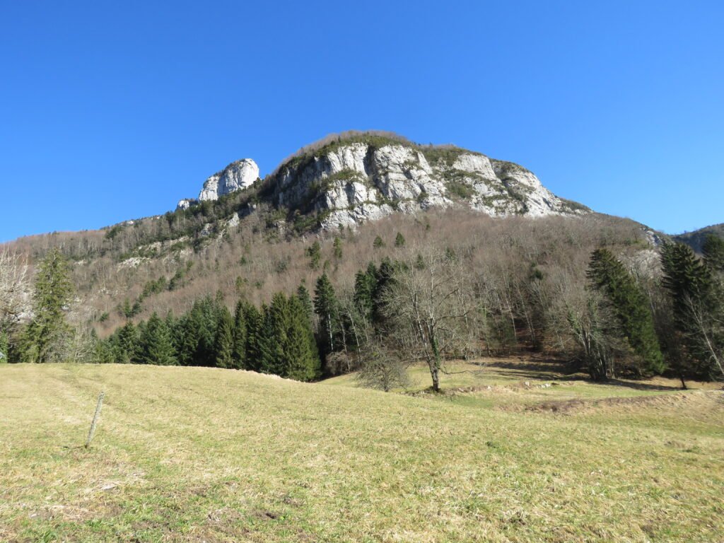 alt="jardin du gîte Chez Maria en Savoie"